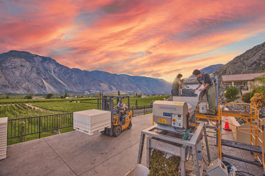 Similkameen Valley - Courcelettes Estate Winery