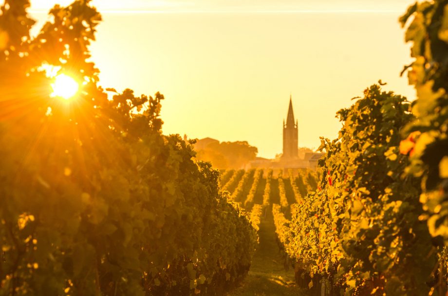Best Bordeaux 2020 wines
